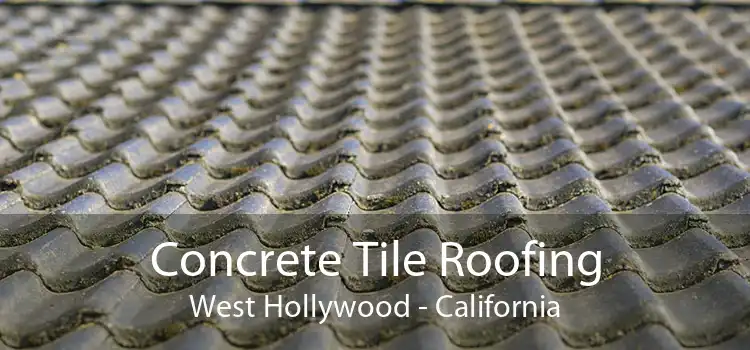 Concrete Tile Roofing West Hollywood - California