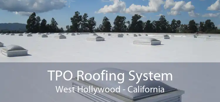 TPO Roofing System West Hollywood - California